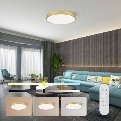 Immax NEO 07293L - LED+CCT hämardatav laelamp SEMPLICI LED/60W/230V 2700-6500K läbimõõt 60 cm + kaugjuhtimispult