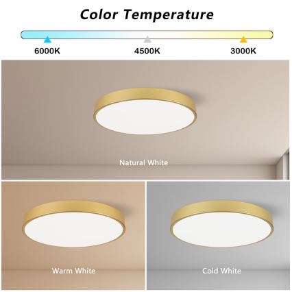 Immax NEO 07293L - LED+CCT hämardatav laelamp SEMPLICI LED/60W/230V 2700-6500K läbimõõt 60 cm + kaugjuhtimispult