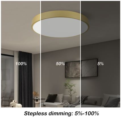 Immax NEO 07293L - LED+CCT hämardatav laelamp SEMPLICI LED/60W/230V 2700-6500K läbimõõt 60 cm + kaugjuhtimispult