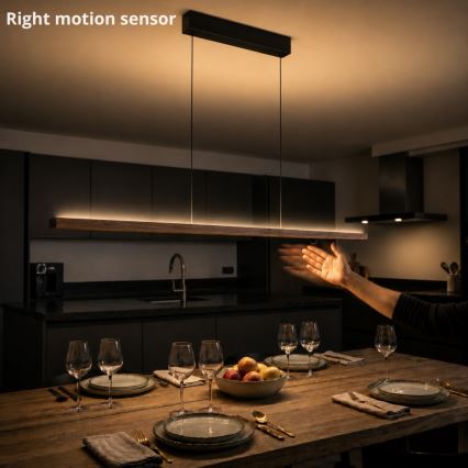 Immax NEO 07309L - LED-hämardatav rippvalgusti kaablil anduriga MADEIRA LED/37W/230V 157 cm pähkel