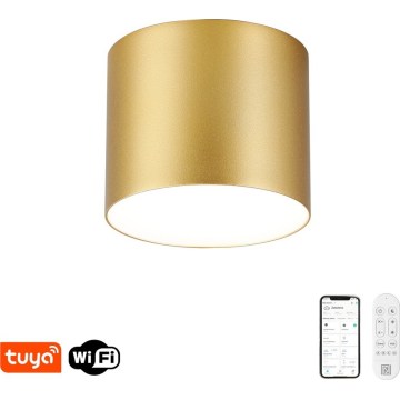 Immax NEO 07317L - Hämardatav LED laevalgusti RONDATE LED/18W/230V läbimõõt 11,5 cm Wi-Fi Tuya kuldne