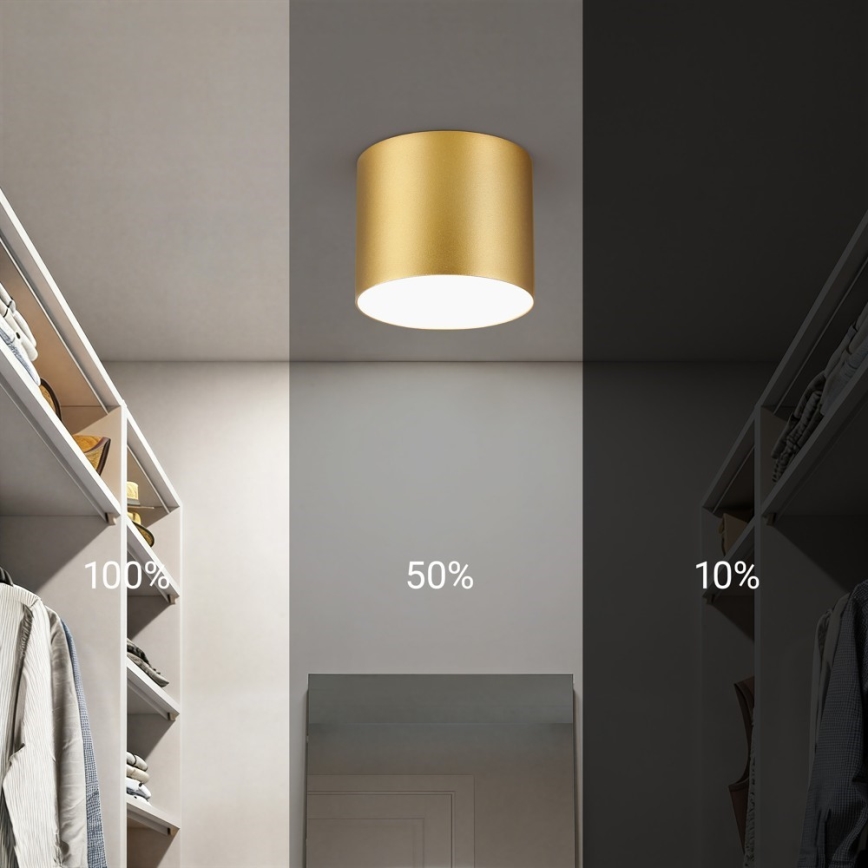 Immax NEO 07317L - Hämardatav LED laevalgusti RONDATE LED/18W/230V läbimõõt 11,5 cm Wi-Fi Tuya kuldne