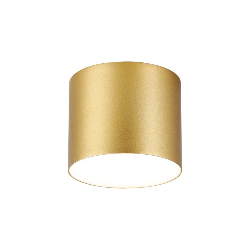 Immax NEO 07317L - Hämardatav LED laevalgusti RONDATE LED/18W/230V läbimõõt 11,5 cm Wi-Fi Tuya kuldne