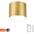 Immax NEO 07317L - LED hämardatav laelamp RONDATE LED/18W/230V Ø 11,5 cm Wi-Fi Tuya kuldne