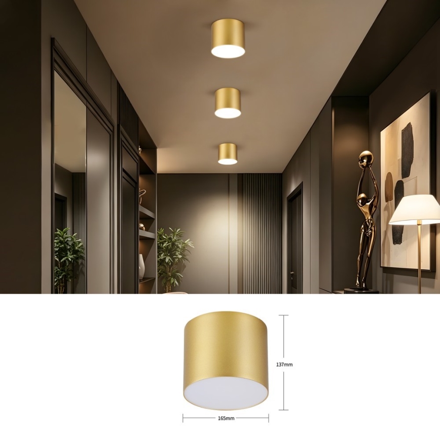 Immax NEO 07318L - hämardatav LED-laelamp RONDATE LED/32W/230V läbimõõt 16,5 cm Wi-Fi Tuya kuldne