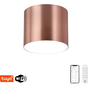 Immax NEO 07319L - hämardatav LED-laelamp RONDATE LED/18W/230V Ø 11,5 cm Wi‑Fi Tuya roosakuld