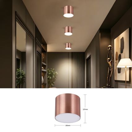 Immax NEO 07320L - LED hämardatav laelamp RONDATE LED/32W/230V läbimõõt 16,5 cm Wi‑Fi Tuya roosakuld