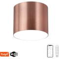 Immax NEO 07320L - Hämardatav LED-laelamp RONDATE LED/32W/230V läbimõõt 16,5 cm Wi-Fi Tuya roosakuldne