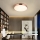 Immax NEO 07321L - LED hämardatav laelamp NEO LITE SEMPLICI LED/36W/230V läbimõõt 40 cm vaskne + kaugjuhtimispult