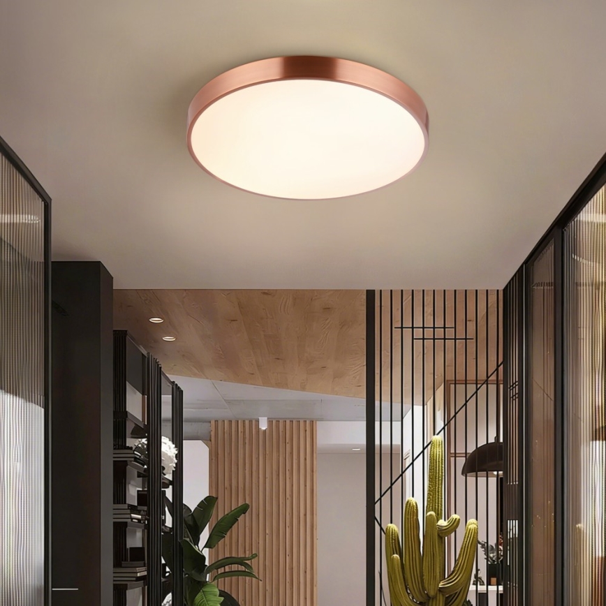 Immax NEO 07321L - LED hämardatav laelamp NEO LITE SEMPLICI LED/36W/230V läbimõõt 40 cm vaskne + kaugjuhtimispult