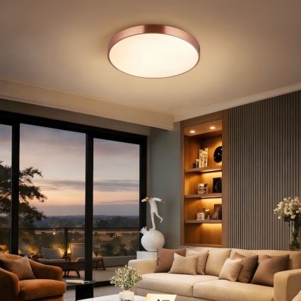 Immax NEO 07321L - LED hämardatav laelamp NEO LITE SEMPLICI LED/36W/230V läbimõõt 40 cm vaskne + kaugjuhtimispult