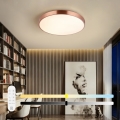 Immax NEO 07322L - LED hämardatav laelamp NEO LITE SEMPLICI LED/60W/230V Ø 60 cm vaskne + kaugjuhtimispuldiga