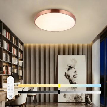 Immax NEO 07322L - LED hämardatav laelamp NEO LITE SEMPLICI LED/60W/230V Ø 60 cm vaskne + kaugjuhtimispuldiga