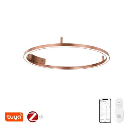 Immax NEO 07326-80C - FINO LED hämardatav laelamp, 55 W, 230 V, 80 cm, Tuya, roosakuldne, koos kaugjuhtimispuldiga