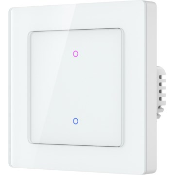 Immax NEO 07550L - 2-nupuline SMART-lüliti 230V