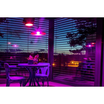 Immax NEO 07745CDO - KOMPLEKT 3x LED RGB+CCT hämardatav pirn E14/6W/230V Tuya Wi-Fi + kaugjuhtimispult