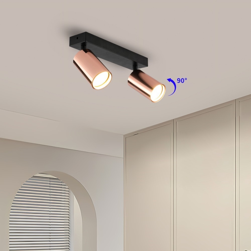 Immax NEO 08302L - PUNTO spottvalgusti 2xGU10/9W/230V roosakuldne