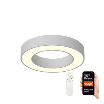 Immax NEO0709L - LED Hämardatav laevalgusti PASTEL LED/52W/230V 60 cm Tuya + pult
