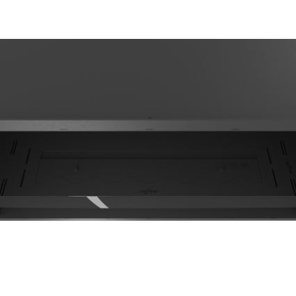 InFire - Sisseehitatud BIO kamin 49,4x104,4 cm 6kW must