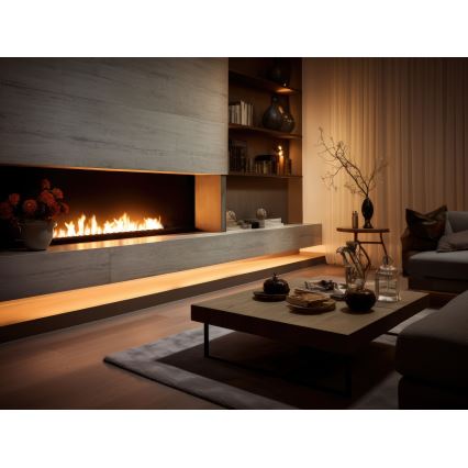 InFire - Sisseehitatud BIO kamin 7,5x120 cm 7kW must