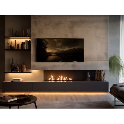InFire - Sisseehitatud BIO kamin 8,5x100 cm 6kW must