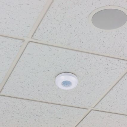 Infrapuna liikumisandur 360° 200W/230V valge