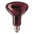 Infrapuna pirn HELIOS R95 E27/100W/230V