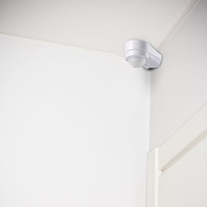 Infrapuna väli liikumisandur 240° 600W/230V IP65 valge