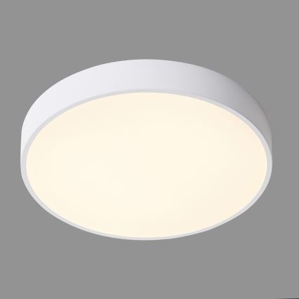 ITALUX - LED Laevalgusti ORBITAL LED/30W/230V 3000K valge