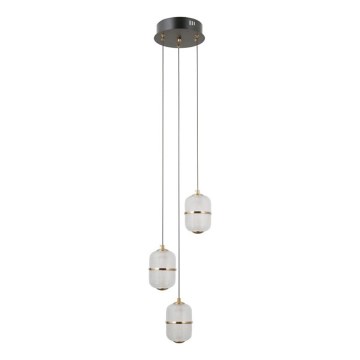 ITALUX - LED-lühter kaabliga ALANI 3xLED/5W/230V 3000K must/kuldne