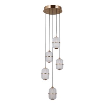 ITALUX - LED lühter kaablil ALANI 5xLED/5,6W/230V 3000K kuldne