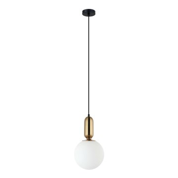 ITALUX - Lühter ALDEVA 1xE27/40W/230V d. 20 cm must/pronks
