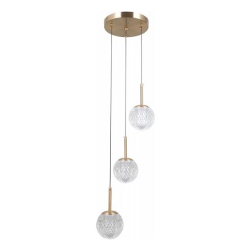 ITALUX - PADRI ripplühter kaablil 3xG9/5W/230V, kuldne