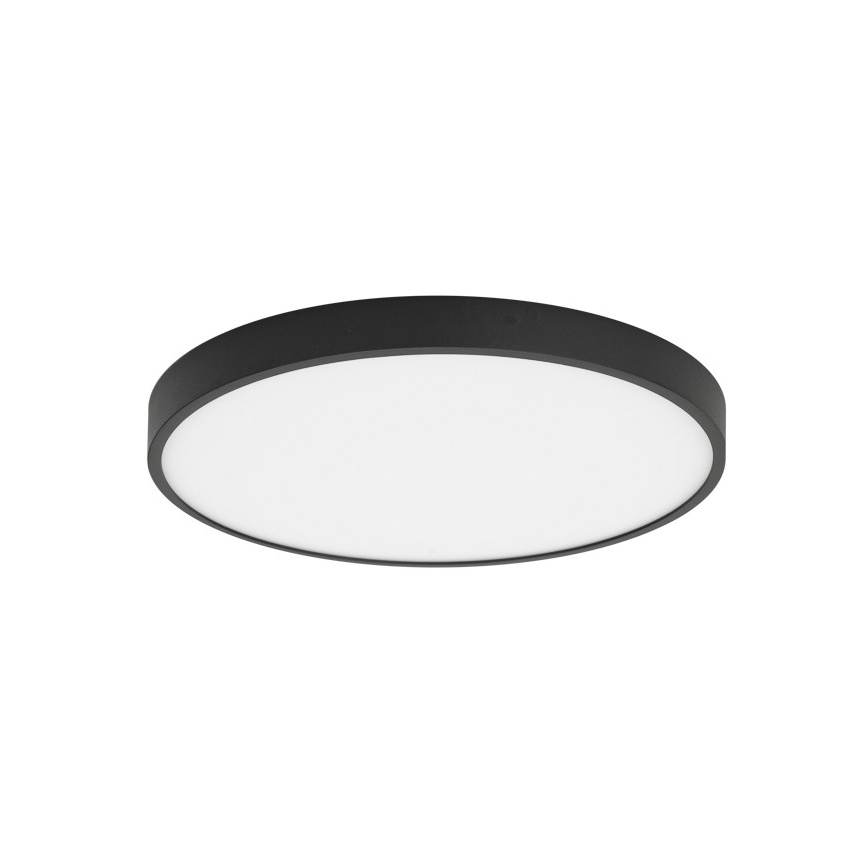 ITALUX - LED Laevalgusti RIBERIO LED/30W/230V 4000K must