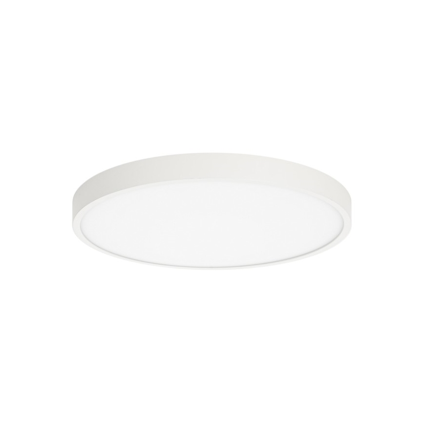 ITALUX - LED Laevalgusti RIBERIO LED/30W/230V 3000K valge