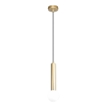 ITALUX - Ripplamp kaabliga FILANO 1xG9/5W/230V kuldne