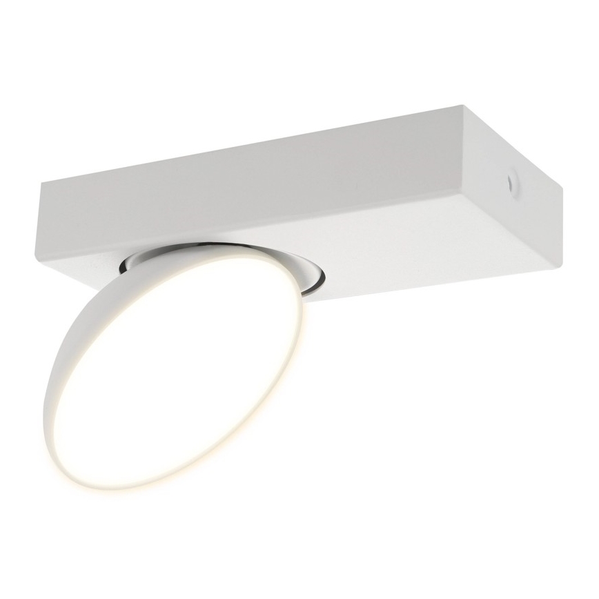 ITALUX - LED Kohtvalgusti CASTELIO LED/5W/230V 4000K valge