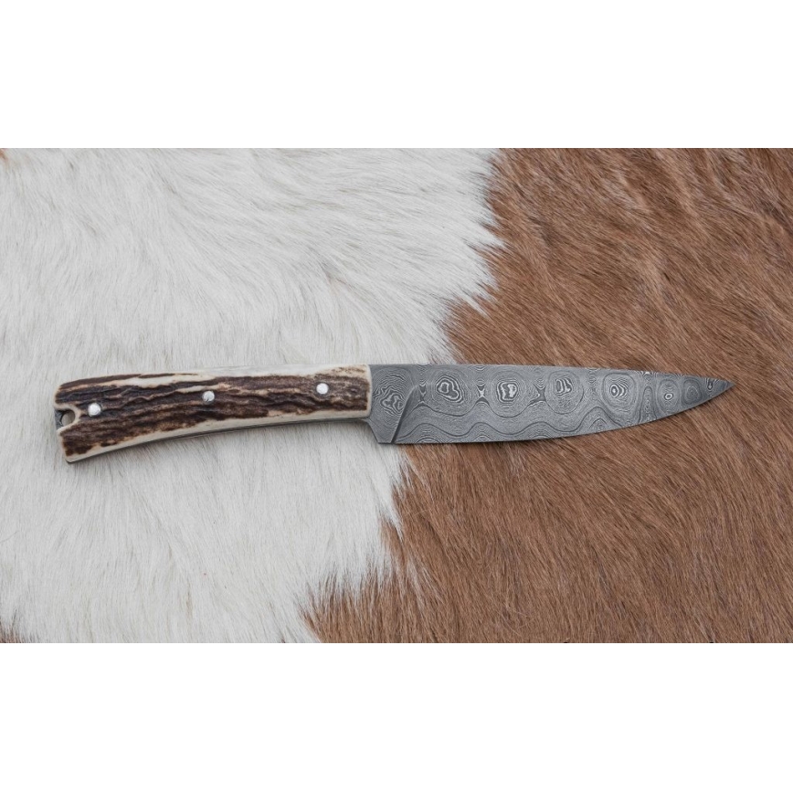 Jahinuga 12 cm hirve sarv