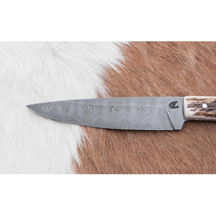 Jahinuga 12 cm hirve sarv