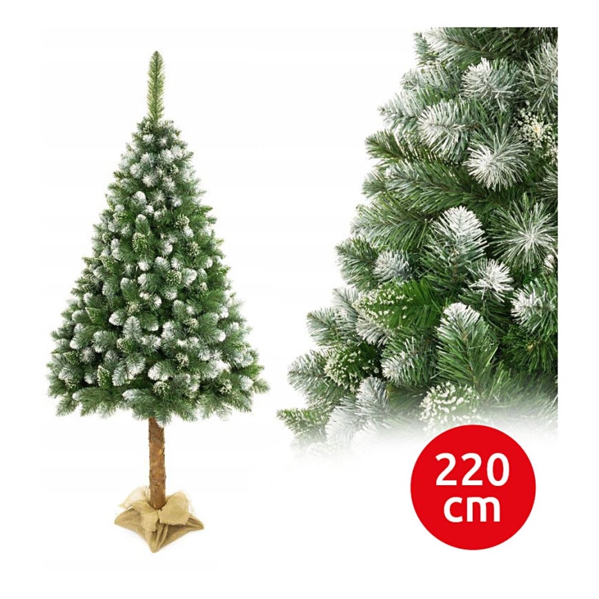 Jõulupuu koos tüvega 220 cm mänd