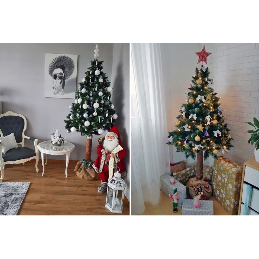 Jõulupuu koos tüvega 220 cm mänd