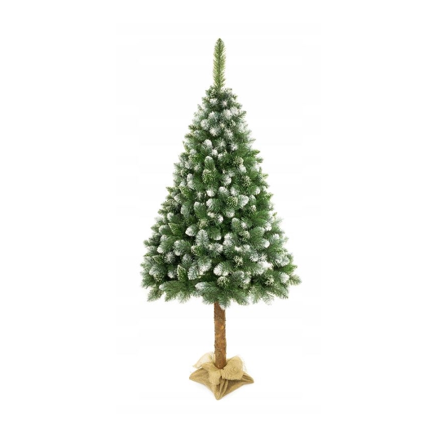 Jõulupuu koos tüvega 220 cm mänd
