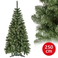 Jõulupuu POLA 250 cm männipuu
