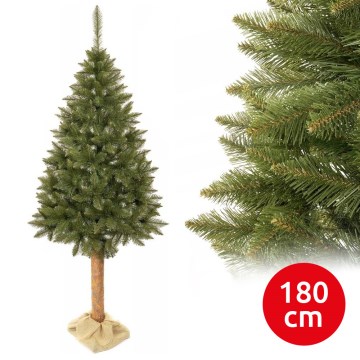 Jõulupuu tüvega 180 cm kuusk