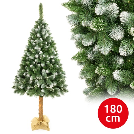 Jõulupuu tüvega 180 cm mänd