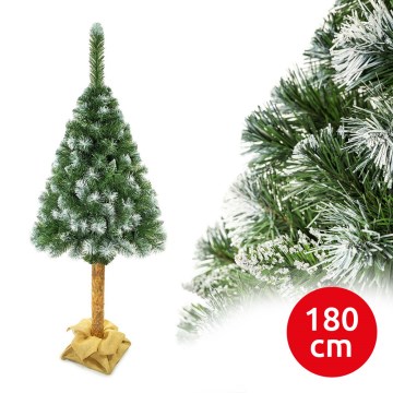 Jõulupuu tüvega 180 cm mänd