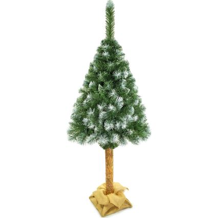 Jõulupuu tüvega 180 cm mänd