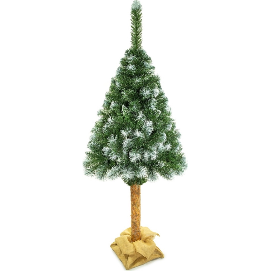 Jõulupuu tüvega 180 cm mänd