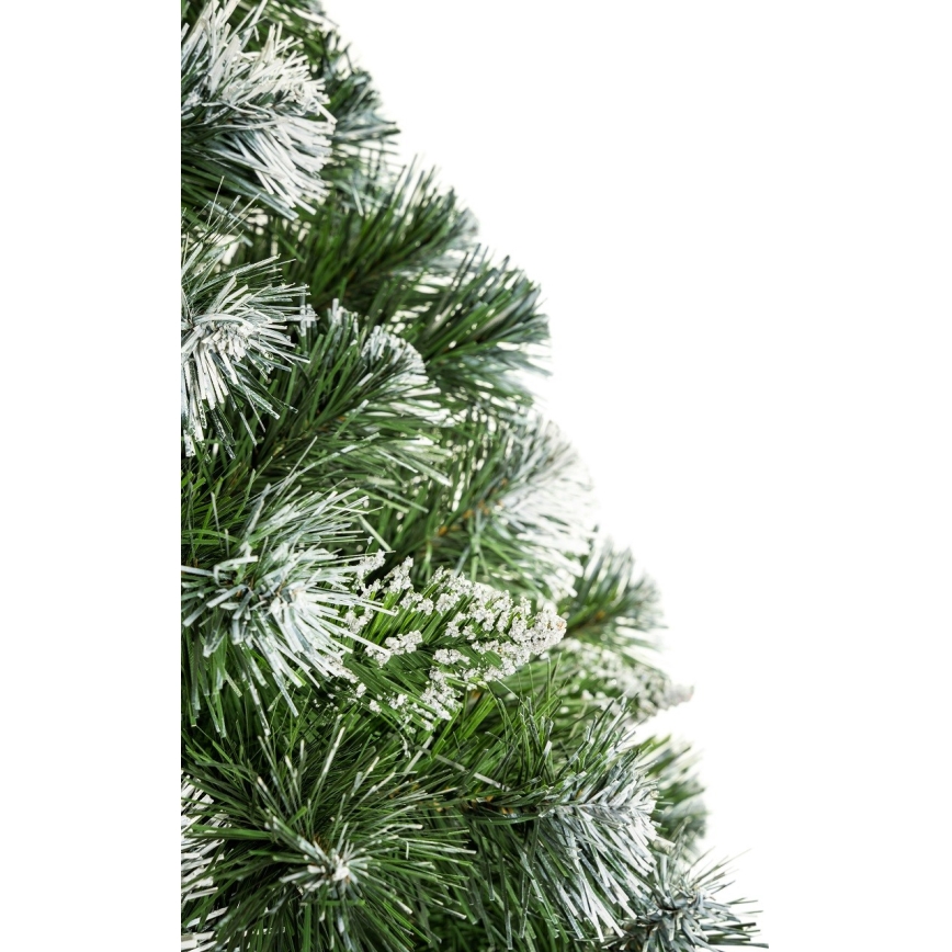 Jõulupuu tüvega 180 cm mänd