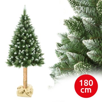 Jõulupuu tüvega 180 cm mänd